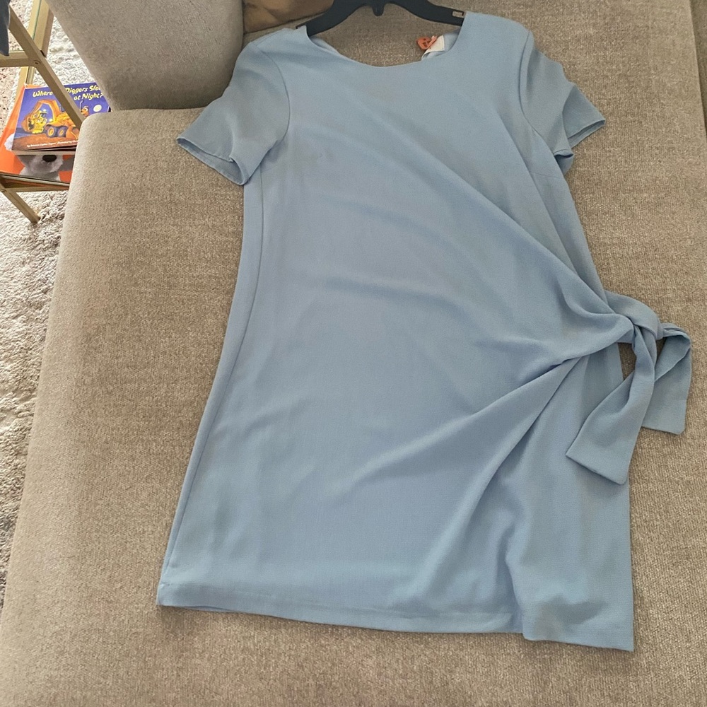 Dee Elle dress!